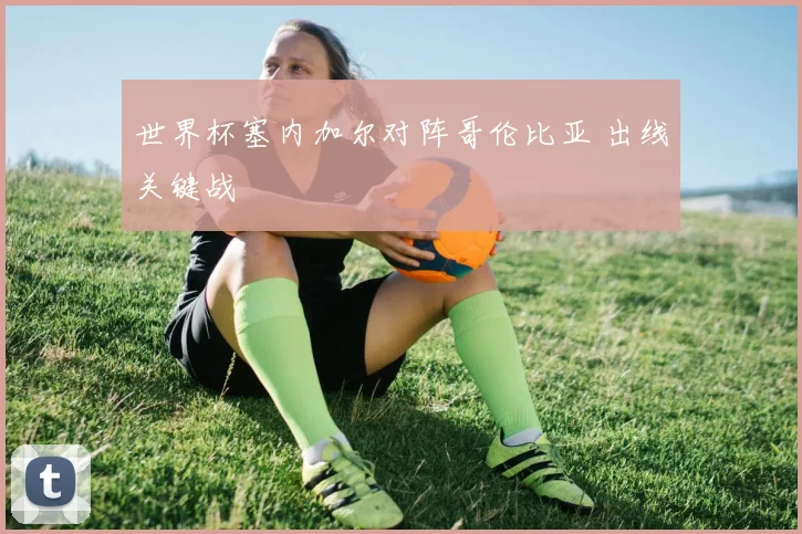 世界杯塞内加尔对阵哥伦比亚 出线关键战