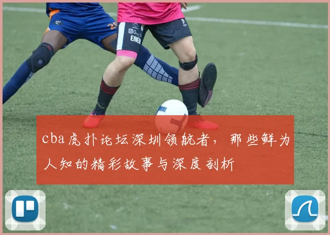 cba虎扑论坛深圳领航者，那些鲜为人知的精彩故事与深度剖析