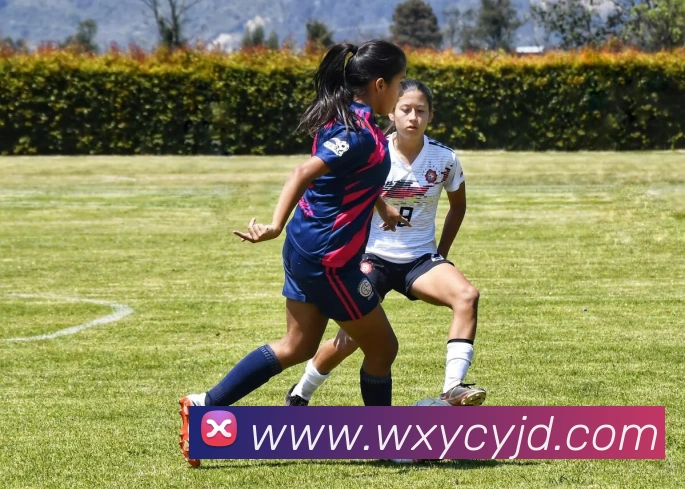 未来规划