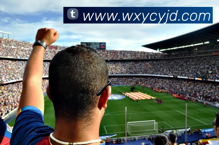 数据防护可视化